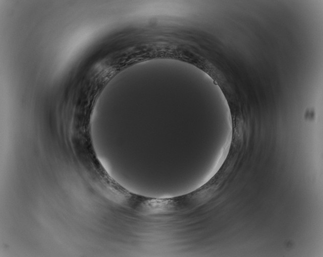 X0000114190526200911200939