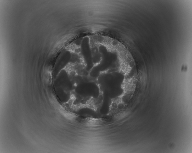 X0000114190527200911200939