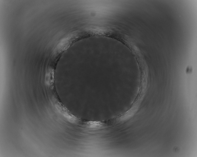 X0000114190528200911200939