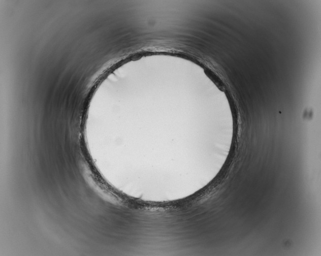 X0000114190530200911200939