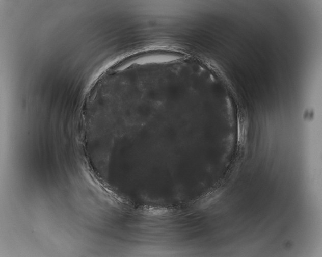 X0000114190531200911200939
