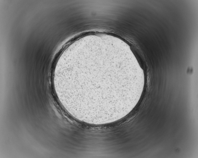 X0000114190532200911200939