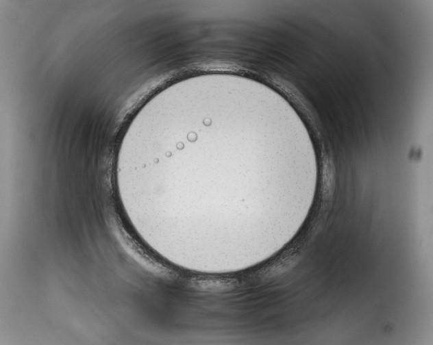 X0000114190533200911200939