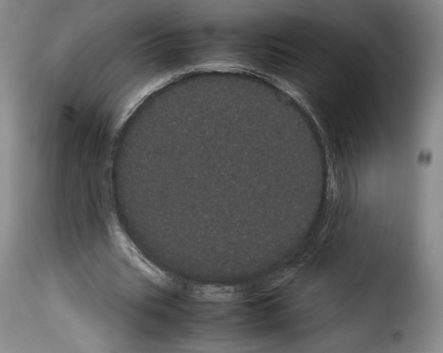X0000114190535200911200939