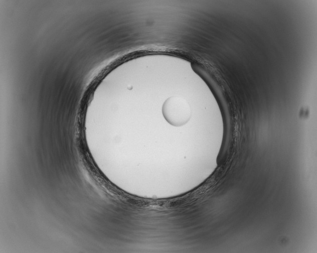 X0000114190536200911200939