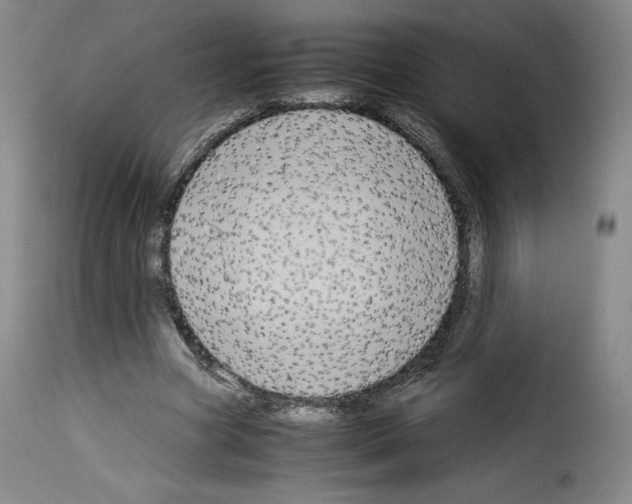 X0000114190537200911200939
