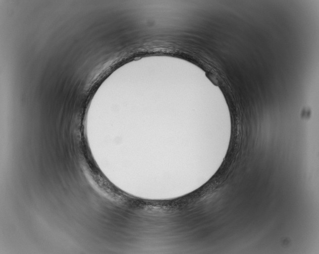 X0000114190538200911200939