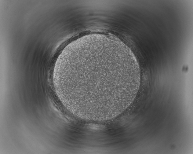 X0000114190539200911200939