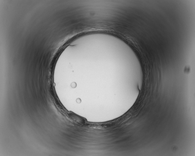 X0000114190540200911200939