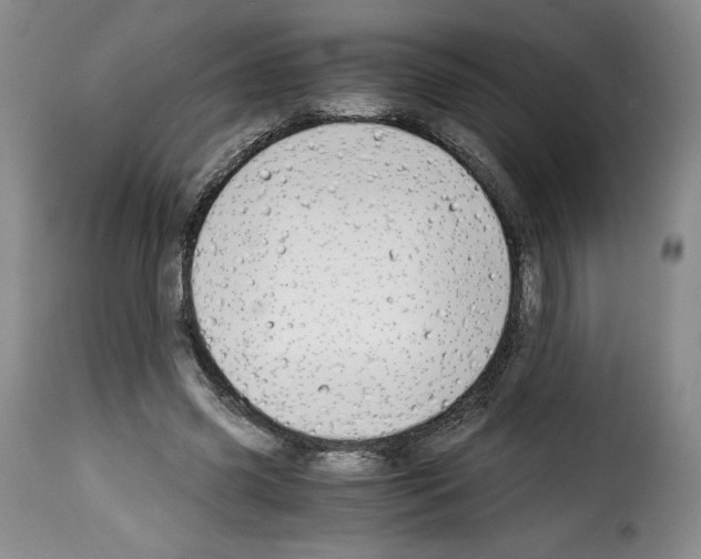 X0000114190541200911200939