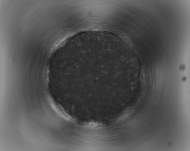 X0000114190542200911200939