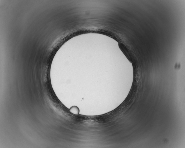 X0000114190544200911200939