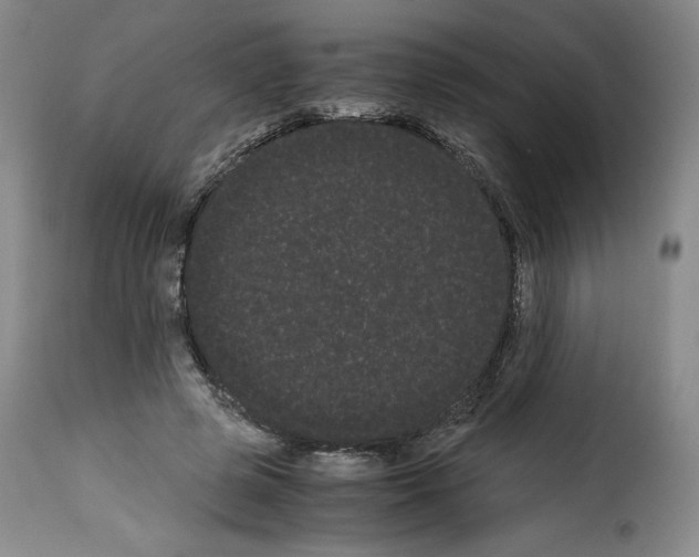 X0000114190545200911200939