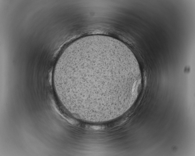 X0000114190546200911200939