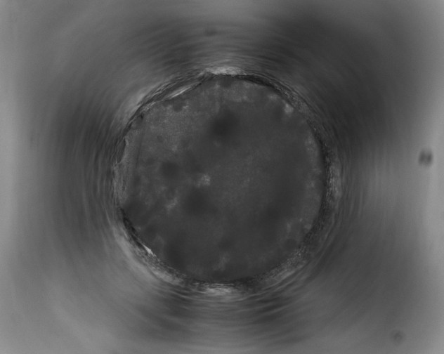 X0000114190547200911200939