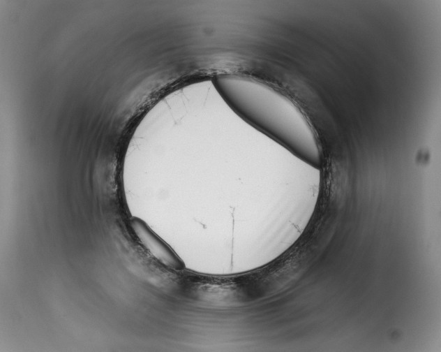 X0000114190548200911200939