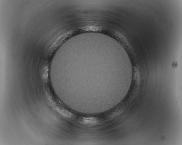 X0000114190549200911200939