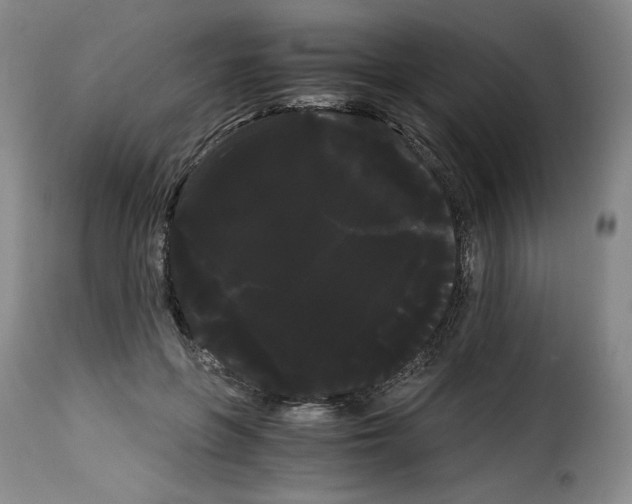 X0000114190551200911200939