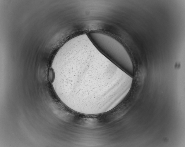 X0000114190552200911200939