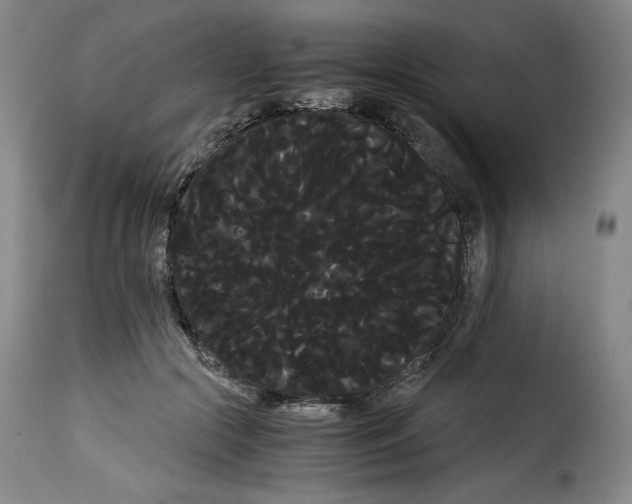X0000114190553200911200939