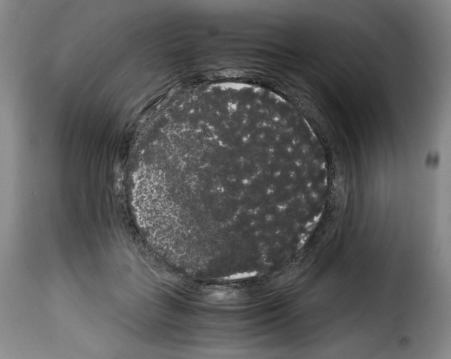 X0000114190555200911200939