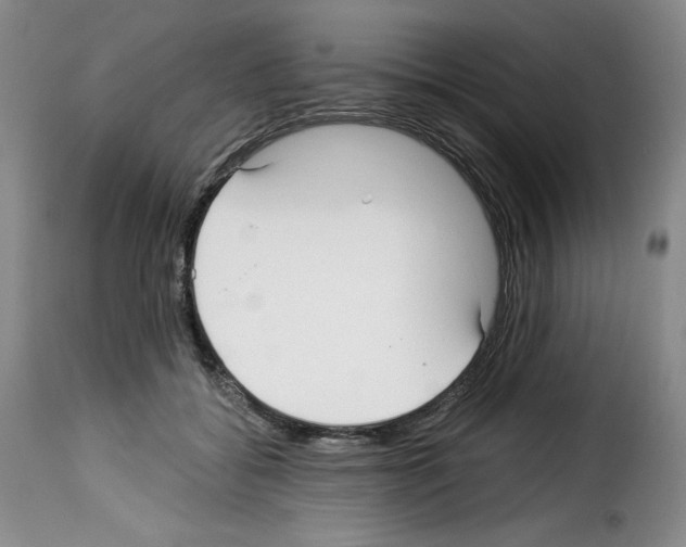 X0000114190556200911200939