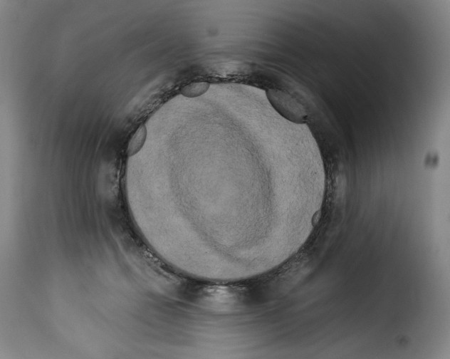 X0000114190558200911200939
