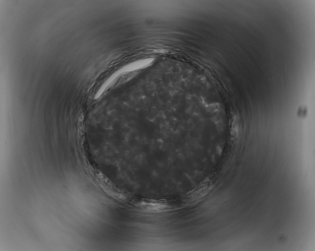 X0000114190559200911200939