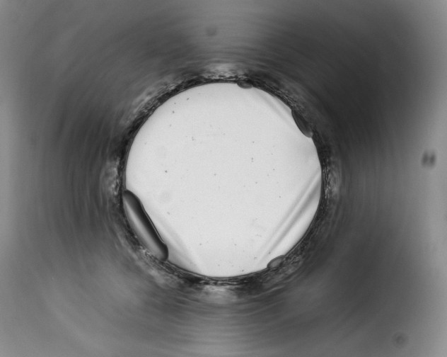 X0000114190560200911200939