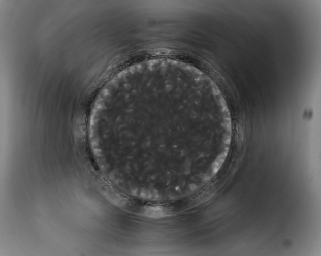 X0000114190561200911200939