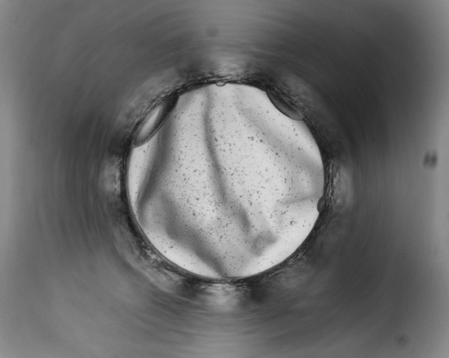 X0000114190562200911200939