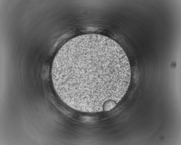 X0000114190563200911200939