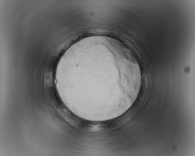 X0000114190564200911200939