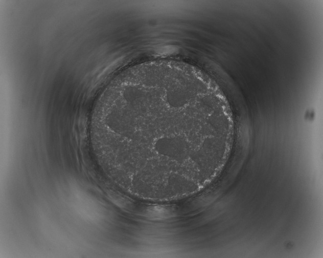 X0000114190565200911200939