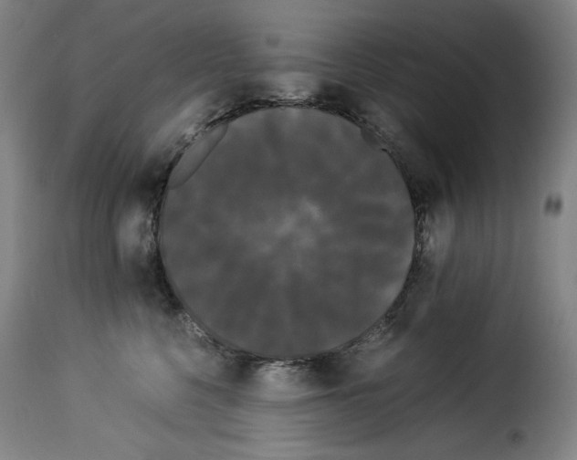 X0000114190568200911200939