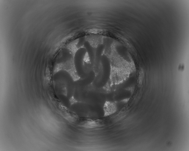 X0000114190569200911200939