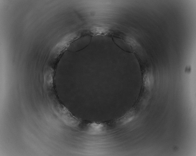 X0000114190570200911200939