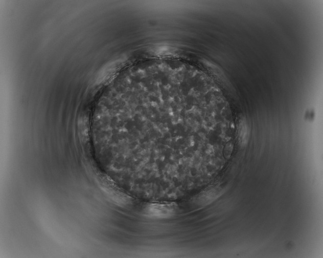 X0000114190571200911200939