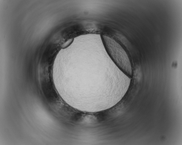 X0000114190572200911200939