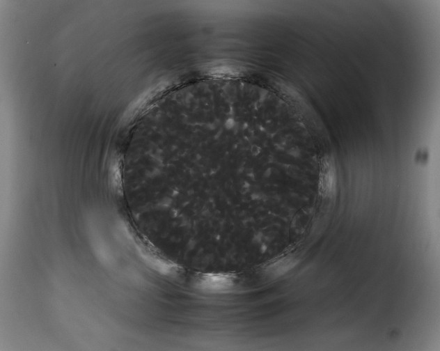 X0000114190573200911200939