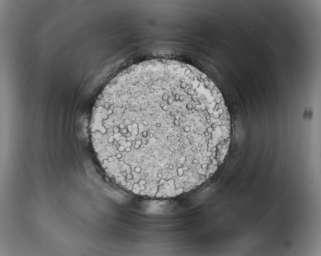 X0000114190575200911200939