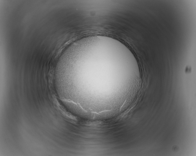 X0000114190576200911200939