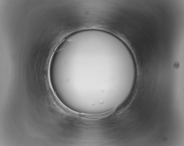 X0000114190577200911200939