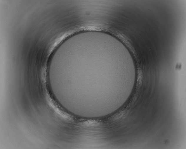 X0000114190578200911200939