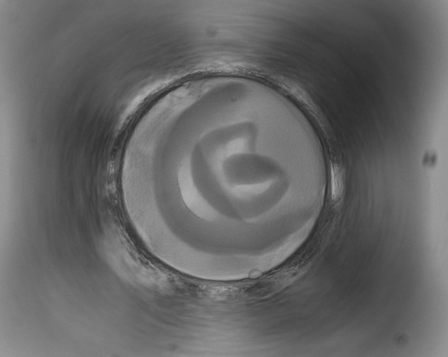X0000114190579200911200939