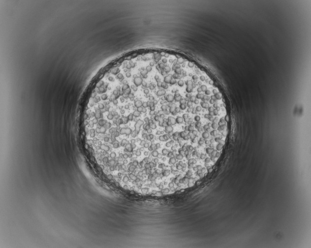 X0000114190580200911200939