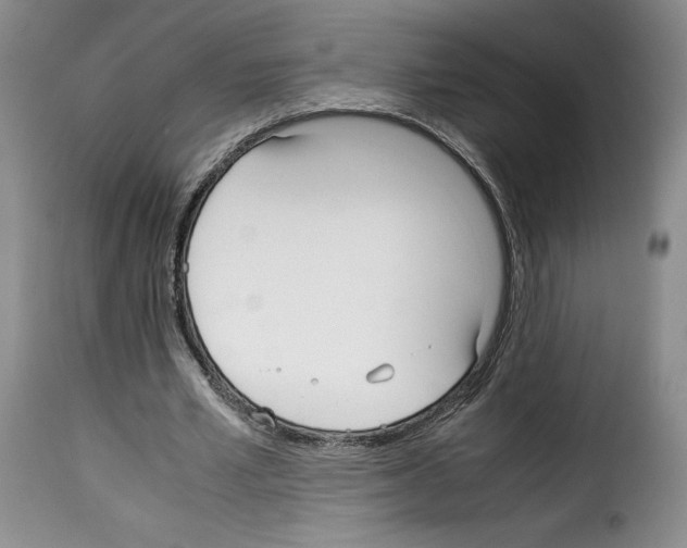 X0000114190581200911200939