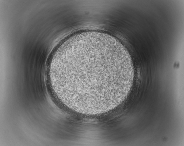 X0000114190582200911200939