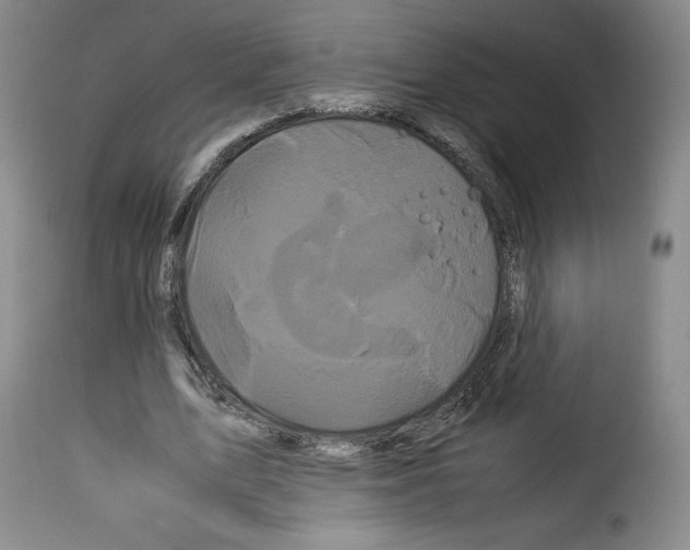 X0000114190583200911200939