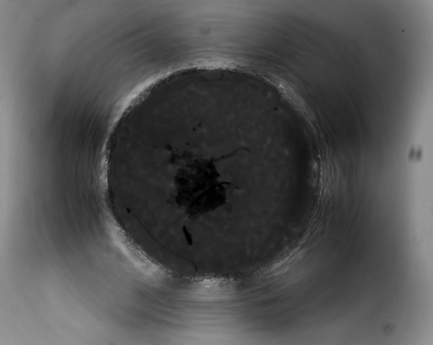 X0000114190584200911200938